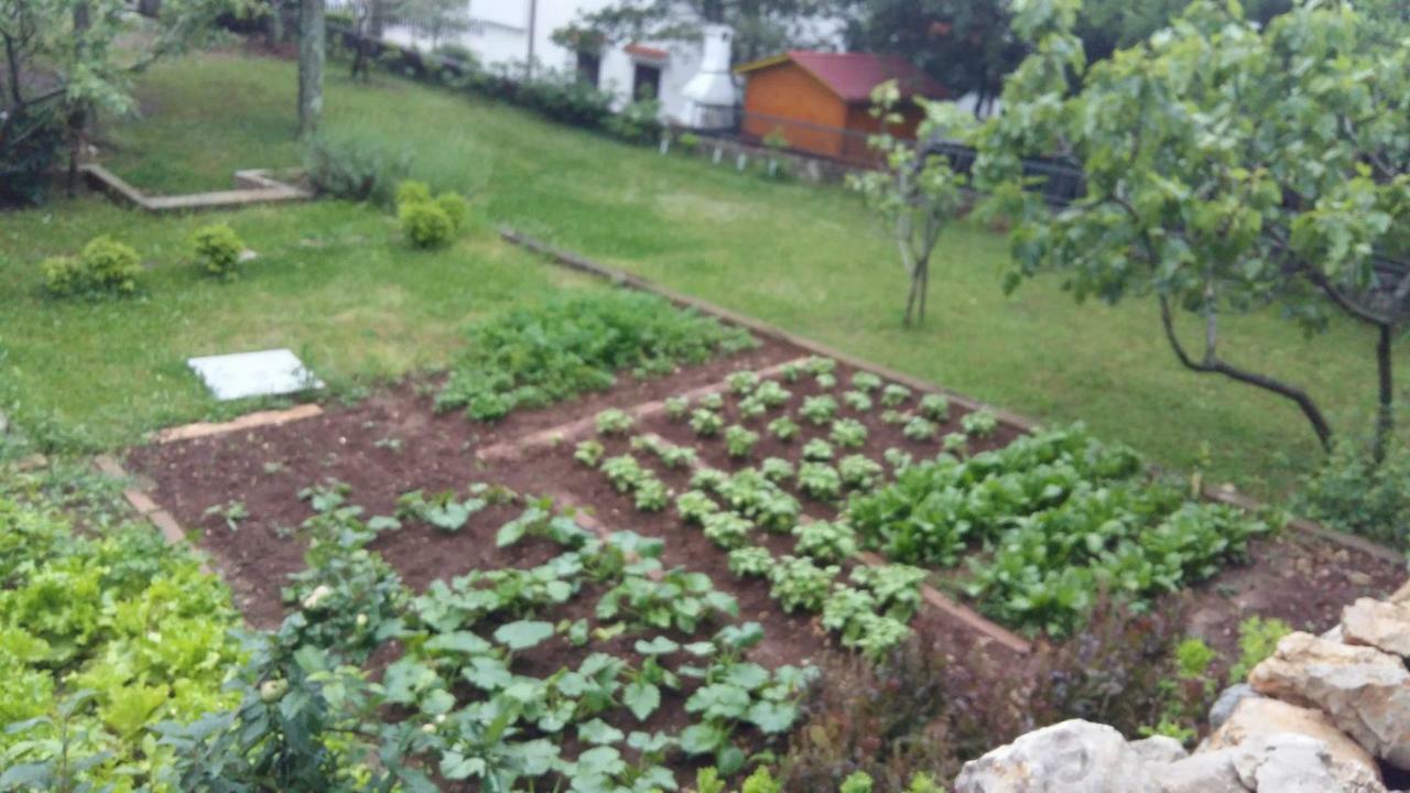 Apartman Ana Kraljevica Buitenkant foto